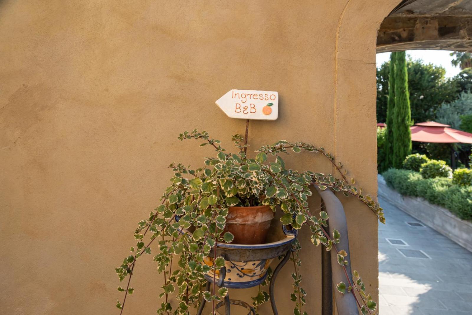 B&B L' Orangerie Pietrasanta Buitenkant foto